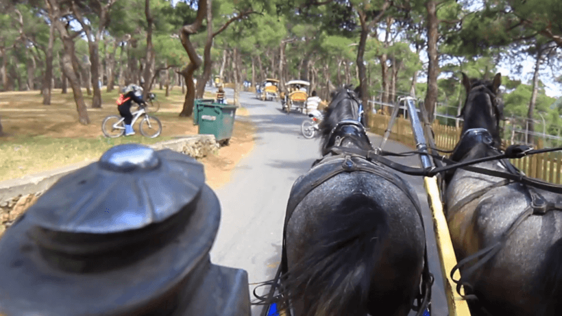 Horse-drawn-carriages-on-buyukada-on-may-22-2013-In-istanbul-19th-century-atmosphere-by-phaetons-carriages-are-only-form-of-transport-as-motorized-vehicles-are-banned-here-horse-drawn-carriage-tou