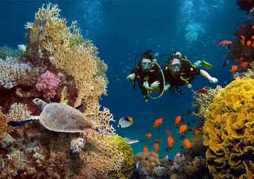 Scuba Diving Tour